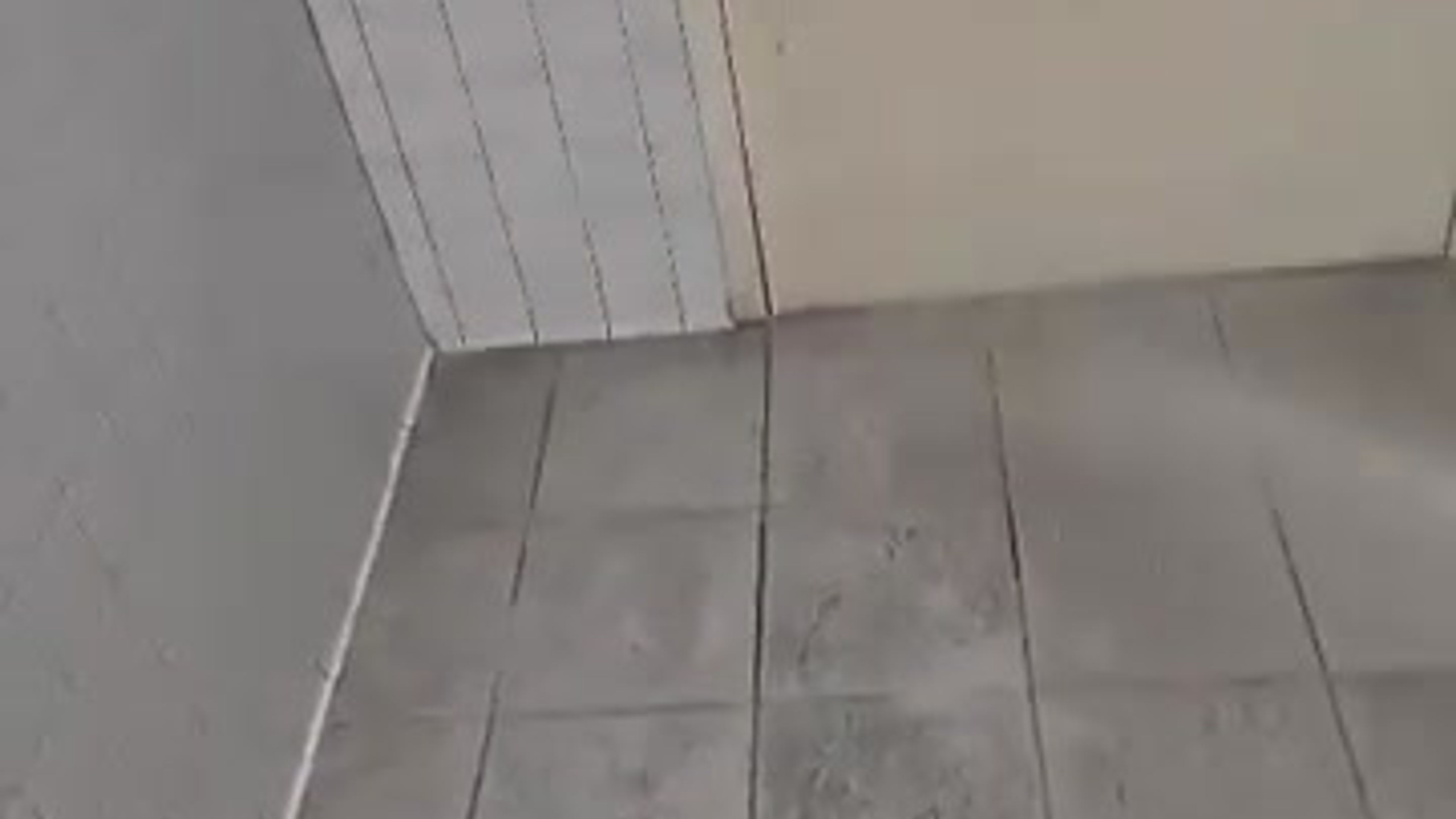 All Videos